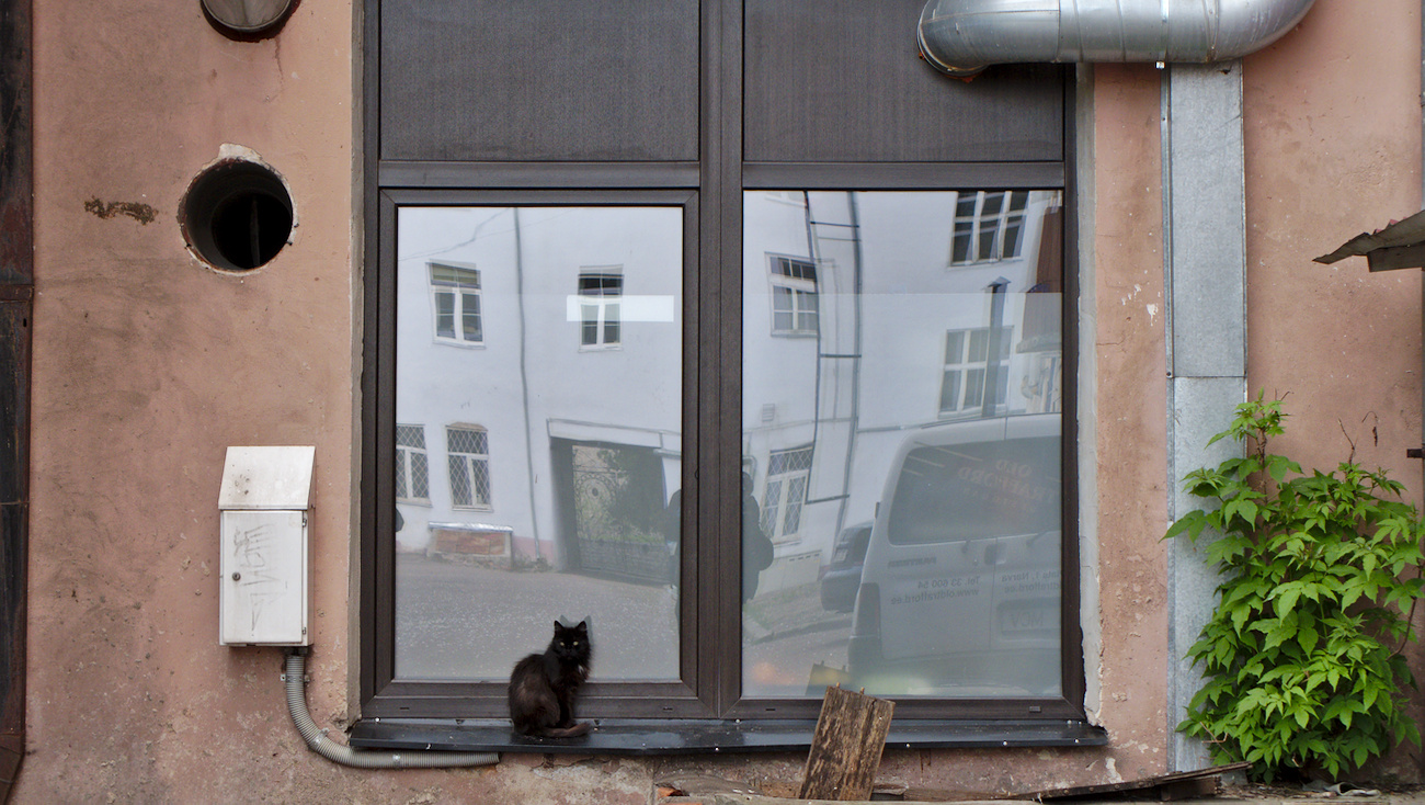 Black cat on a window sill. Narva, Estonia.