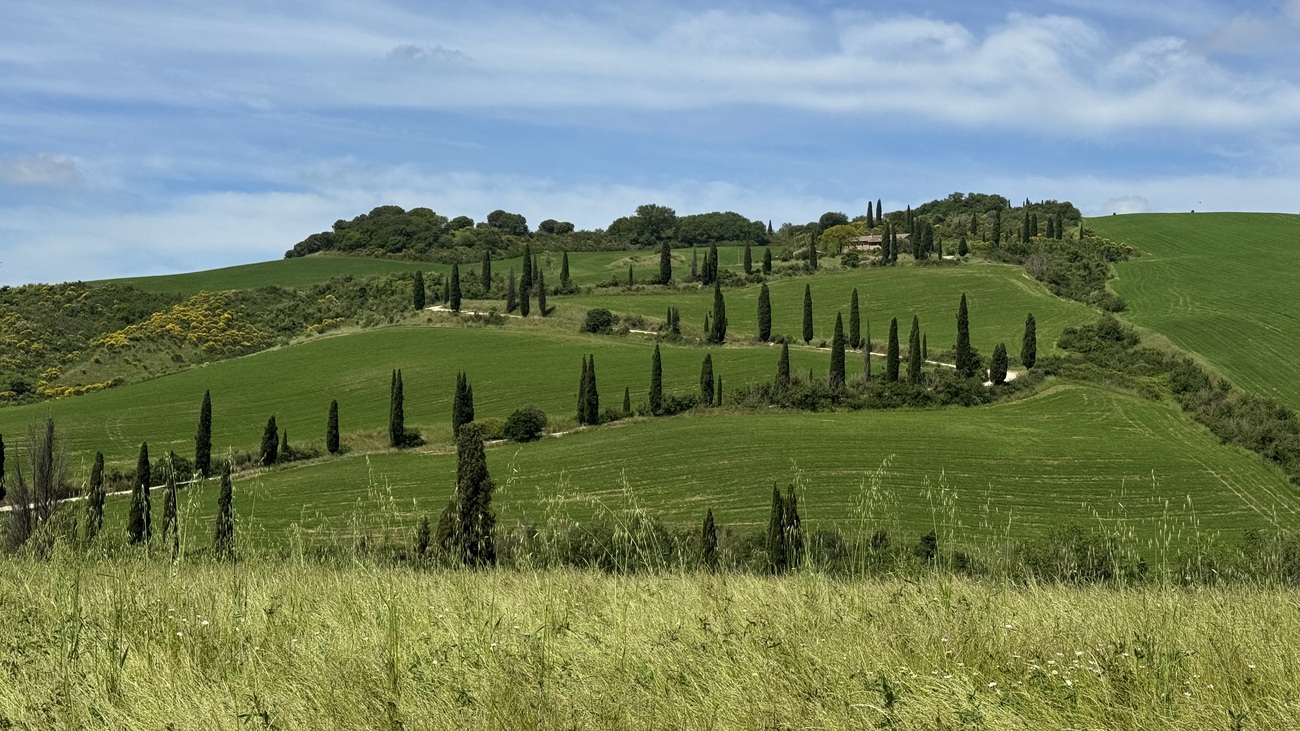 Swirling cypress road, Val d'Orcia, Tuscany, Italy.