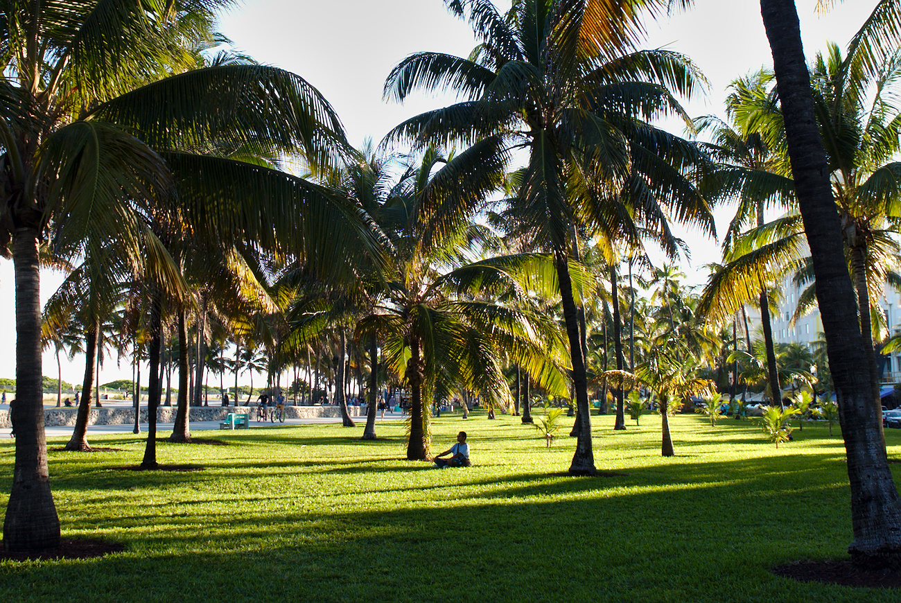Lummus Park, South Miami Beach.