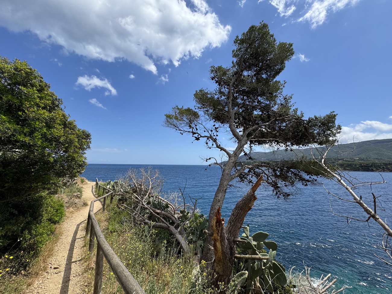 Hiking path in Porto Azzurro, Elba Island, Italy.