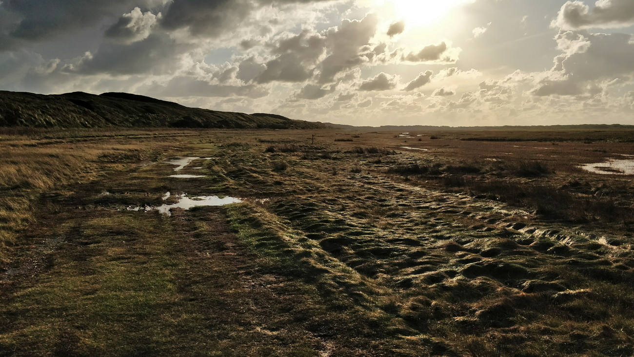 Mudflats on Texel, Netherlands.