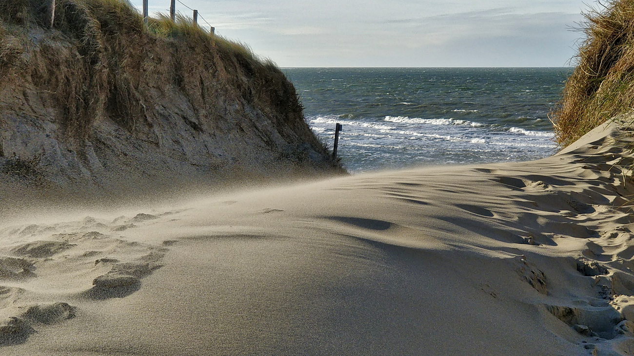 Wind blowing sand on Texel, Netherlands.