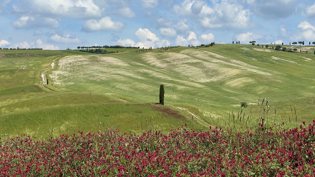Tuscany landscape, Val d'Orcia, Italy.